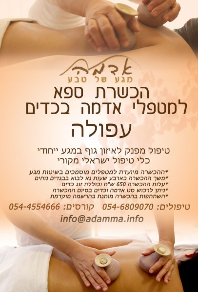 הכשרת מטפלים בעפולה 08/12/2013