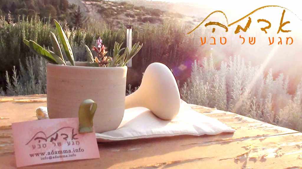 הכשרת מטפלי אדמה